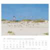Eine Seite des Schleswig-Holstein - PostkartenKalenders 2025 für November mit einem lebendigen Foto eines Sandstrands mit einem rot-weißen Leuchtturm im Hintergrund. Zahlreiche Vögel fliegen in der Nähe der Dünen unter einem klaren blauen Himmel.