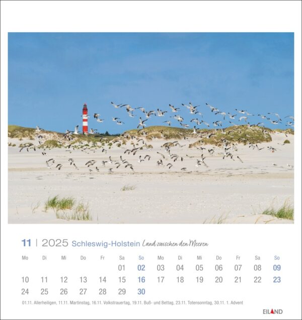 Eine Seite des Schleswig-Holstein - PostkartenKalenders 2025 für November mit einem lebendigen Foto eines Sandstrands mit einem rot-weißen Leuchtturm im Hintergrund. Zahlreiche Vögel fliegen in der Nähe der Dünen unter einem klaren blauen Himmel.