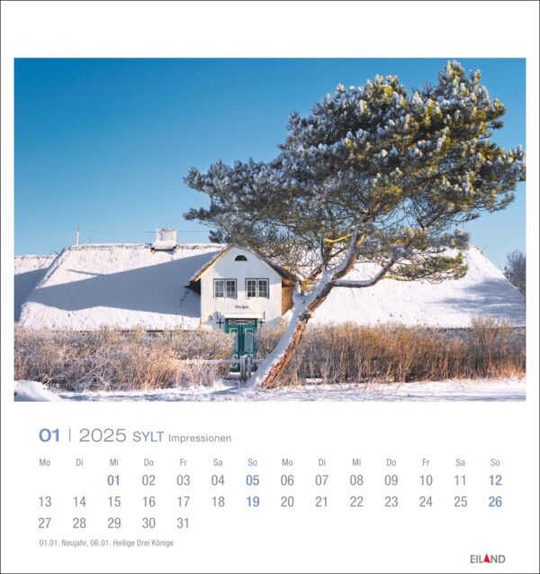 Eine verschneite Szene auf einer Seite des Sylter Impressionen - PostkartenKalender 2025 für Januar mit einem traditionellen weißen Haus mit Strohdach, einer markanten grünen Tür und einem einsamen Baum daneben unter dem