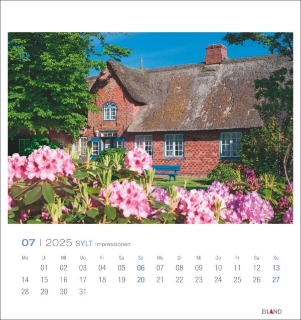 Eine Seite des Sylt Impressionen - PostkartenKalender 2025 für Juli zeigt ein charmantes rotes Backsteinhäuschen mit Strohdach, umgeben von leuchtend rosa Rhododendronblüten unter einem klaren blauen Himmel. Der Kalender enthält