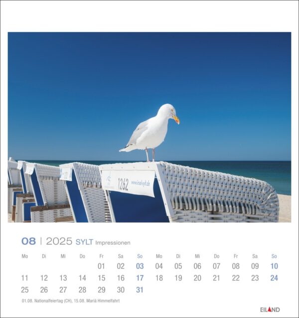 Eine Möwe sitzt auf einem blau-weiß gestreiften Strandkorb mit offenem Baldachin, vor der Kulisse eines Sandstrands und eines strahlend blauen Himmels und Meeres. Sylter Impressionen - PostkartenKalender 2025