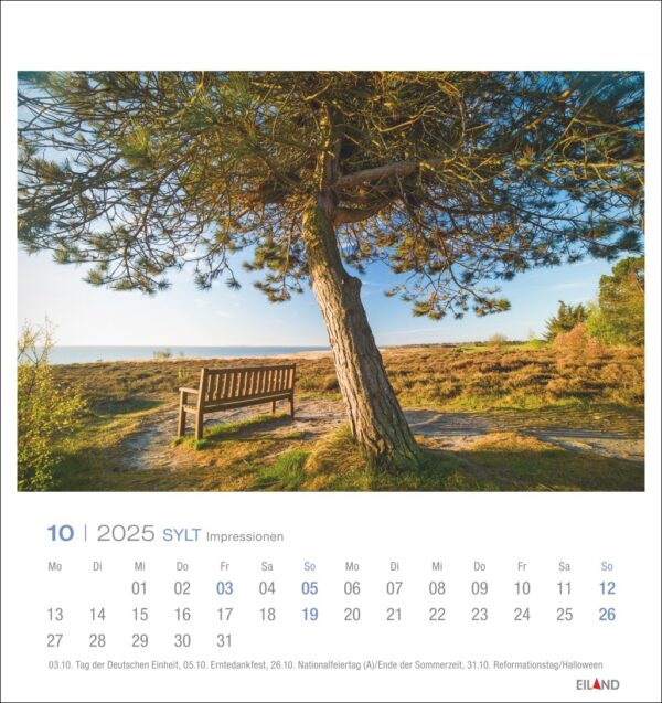 Ein Sylt Impressionen - PostkartenKalender 2025 für Oktober mit dem Thema "Sylt Impressionen", der eine ruhige Landschaft mit einem großen Baum auf der linken Seite und einer Holzbank mit Blick auf ein offenes Feld zeigt