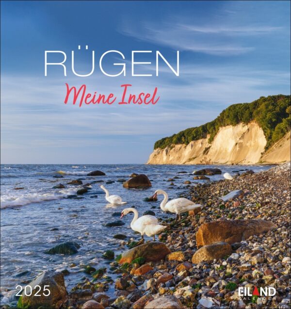 Ein Rügen - PostkartenKalender 2025-Cover für die Insel Rügen mit dem Titel "Meine Insel", mit Schwänen an einem Kieselstrand mit weißen Kreidefelsen und einem Waldgebiet