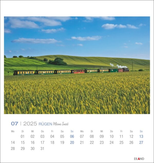 Eine Rügen - PostkartenKalender 2025-Seite für Juli mit einer lebendigen Landschaft auf Rügen. Ein bunter Zug fährt durch ein üppiges, welliges Weizenfeld unter einem klaren blauen Himmel. Die Kalendertage sind unten aufgeführt.