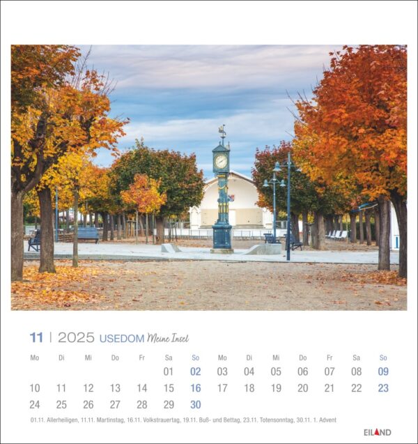 Eine Usedom - PostkartenKalender 2025 Seite für November zeigt eine friedliche Herbstszene in Usedom mit Bäumen in leuchtenden Orange- und Gelbtönen, die einen Weg säumen, der zu einer klassischen Straßenlaterne führt und einem