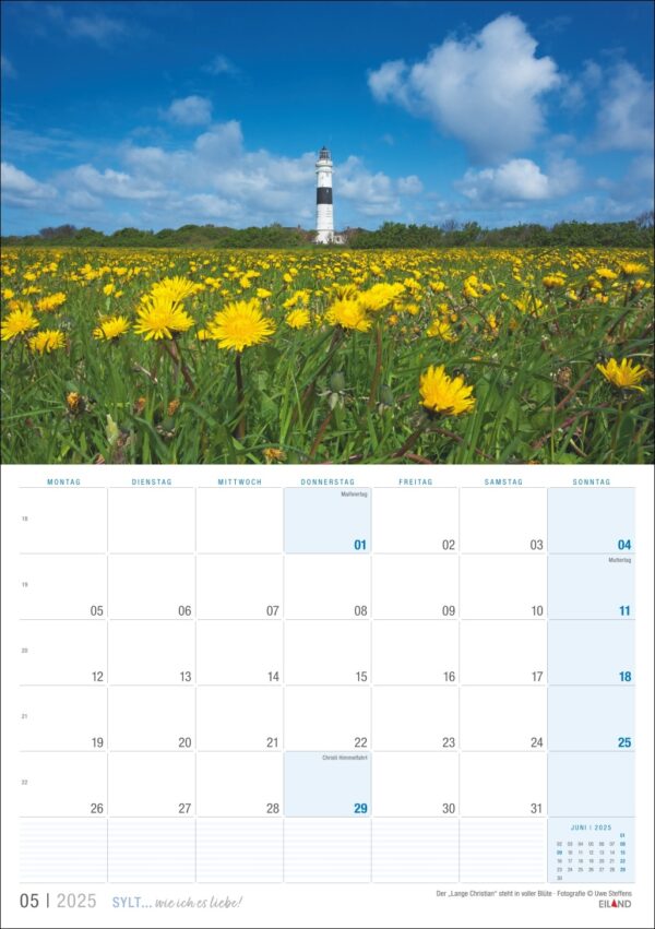 Eine Sylt … wie ich es liebe 2025-Kalenderseite für Mai mit einem lebendigen Foto eines üppigen Feldes mit gelben Löwenzahnblüten unter blauem Himmel und einem weißen Leuchtturm im Hintergrund auf Sylt