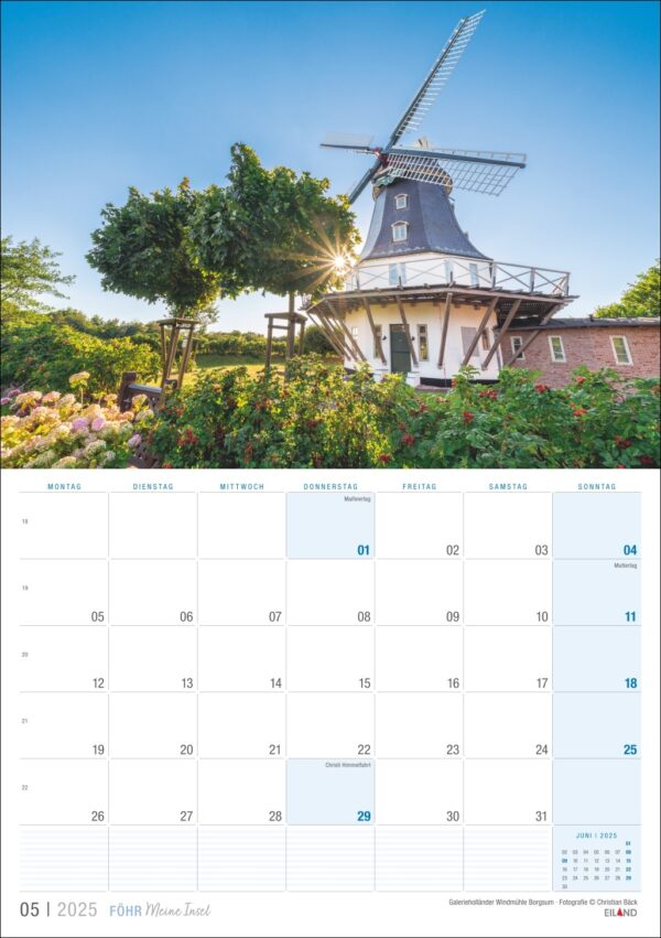 Ein Bild einer Föhr …meine Insel 2025-Kalenderseite für Mai mit einer großen, malerischen Windmühle und einem umliegenden Garten auf der Insel Föhr unter einem klaren blauen Himmel. Das Kalenderraster befindet sich darunter.