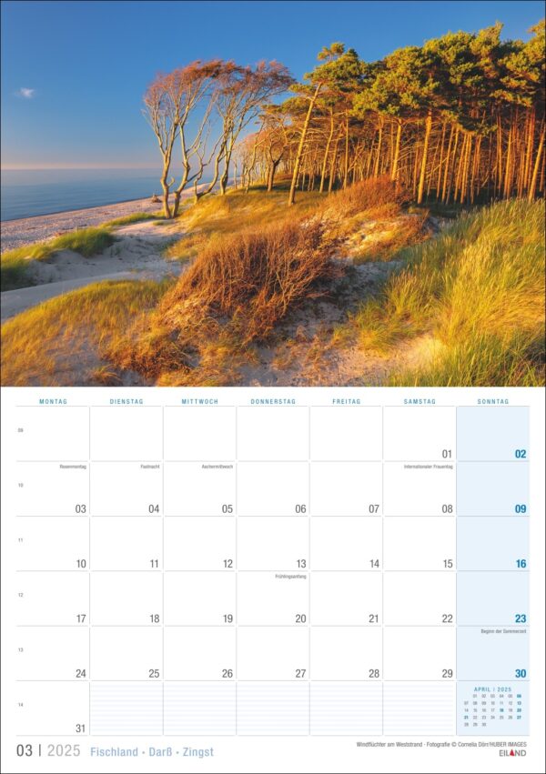 Dieses Bild zeigt einen Fischland · Darß · Zingst-Kalender für März 2025, der über eine ruhige Landschaftsfotografie des Darß-Strandes mit einer Reihe windgepeitschter Bäume auf sandigem Gelände unter einem klaren blauen Himmel gelegt ist. Die Tage