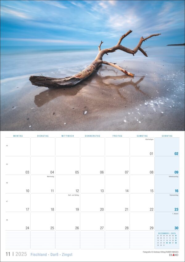 Das Bild zeigt ein November-Kalenderblatt mit einer ruhigen Strandszene auf der Halbinsel Fischland · Darß · Zingst 2025. Ein großer, verwitterter Ast liegt am sandigen Ufer mit sanftem Wellengang.