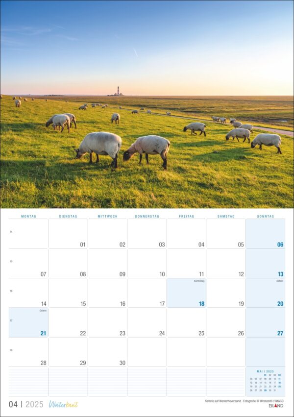Ein Waterkant-Kalender für April 2025, der eine ruhige ländliche Szene mit Schafen zeigt, die bei Sonnenuntergang auf einer üppigen grünen Wiese unter einem klaren blauen Himmel grasen. Wochentage und Daten sind sauber ausgerichtet.