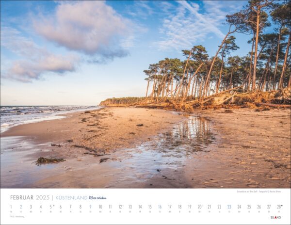 Eine Kalenderseite für Küstenland – Meer erleben 2025 mit einer ruhigen Strandszene am Küstenland, mit hohen Kiefern entlang der Küste, einem breiten Sandstrand, Spiegelungen im seichten Wasser unter einem bewölkten blauen Himmel.