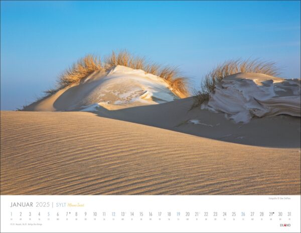 Ein Sylt-Meine-Insel-Kalender 2025 mit einem Landschaftsfoto von Sanddünen auf Meine Insel, Sylt. Die Dünen werden durch sanftes Sonnenlicht hervorgehoben und geben den Blick auf strukturierten Sand und Büschel frei.