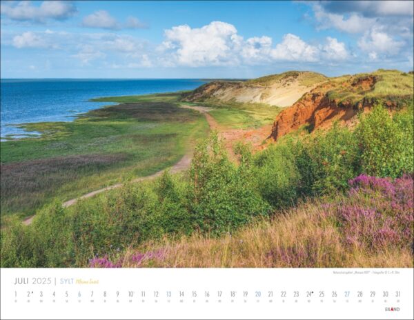 Eine Kalenderseite für Sylt – Meine Insel 2025 mit einer malerischen Landschaft der Insel Sylt, Meine Insel. Das Bild zeigt einen grünen Küstenweg mit üppigen Wildblumen und Blick auf ein ruhiges Meer.
