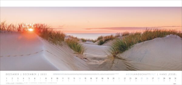 Ein Panoramabild der Meerlandschaft SYLT 2025 bei Sonnenuntergang, mit sanften Sanddünen und Grasbüscheln. Die Sonne steht tief am Himmel und wirft warmes Licht und Schatten. Ein Kalender für Dezember 2025.