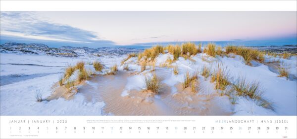 Eine winterliche Meerlandschaft 2025 zeigt einen schneebedeckten Strand mit spärlichem Gras, das bei Sonnenaufgang unter einem zartrosa und blauen Himmel durch den Schnee ragt. Unten verläuft ein Kalender für Januar 2025.