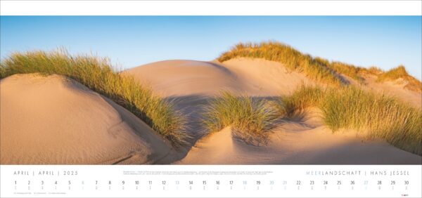 Ein Panorama-Kalenderbild, das mit hohem Gras bedeckte Sanddünen unter einem klaren Himmel während der goldenen Stunde zeigt. Es trägt die Überschrift „Meerlandschaft 2025“ und zeigt ein Tagesraster unter der ruhigen Meerlandschaft 2025.