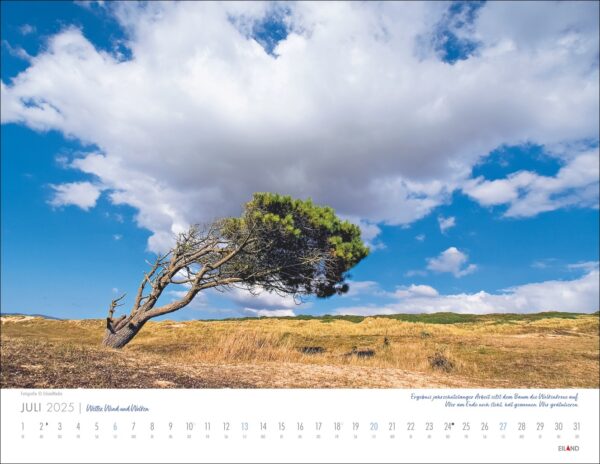 Ein Kalender für Wetter, Wind und Wolken 2025 mit einem windgepeitschten Baum auf einer grasbewachsenen, sonnenbeschienenen Ebene unter einem weiten Himmel mit vereinzelten Wolken. Die Wochentage sind unter dem Bild markiert.
