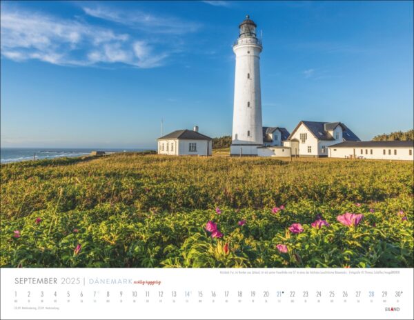 Eine DÄNEMARK - richtig hyggelig 2025 Kalenderseite mit einer malerischen Aussicht auf einen weißen Leuchtturm mit umliegenden Gebäuden, inmitten eines Feldes blühender rosa Blumen unter einem klaren blauen Himmel. Text unten