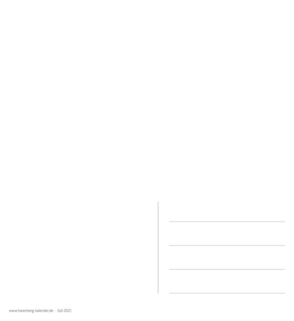 Eine minimalistische Postkartenvorlage mit einem schlichten weißen Hintergrund mit drei horizontalen Linien unten rechts zum Schreiben, einer vertikalen Linie zum Ausrichten oder Trennen und einer kleinen Website-URL unten links.