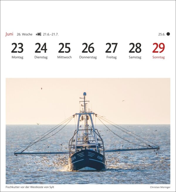 Eine Kalenderseite für die letzte Juniwoche mit einem Foto eines Fischerboots auf dem Meer bei Sonnenaufgang oder Sonnenuntergang, mit herumfliegenden Möwen und der Sonne, die sich im Wasser spiegelt. Tage und Daten sind auf Deutsch markiert.
