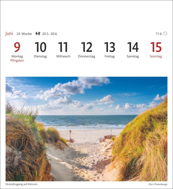 Ein malerisches Kalenderblatt für Juni mit Daten vom 9. bis 15. Das Bild zeigt einen Sandpfad, der durch Dünen zu einem klaren blauen Meer unter einem strahlenden Himmel führt, mit dem Titel „Strandzugang auf Amrum“.