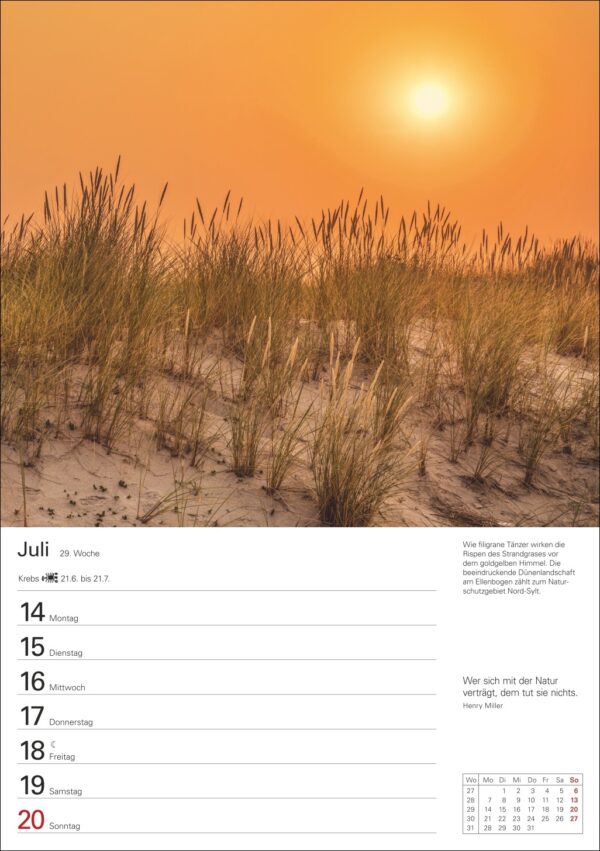 Das Bild zeigt einen ruhigen Sonnenuntergang mit goldenem Himmel. Im Vordergrund dominieren die Silhouetten hohen Grases die Szene. Die Sonne ist teilweise sichtbar und verbreitet einen warmen Schein. Unten ist ein Kalender mit Daten vom 14. bis 20. Juli.