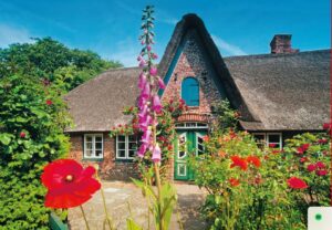 Ein charmantes Schaalseehaus mit Strohdach, umgeben von üppigem Grün und leuchtenden Blumen, darunter auffällige rote Mohnblumen und hohe Fingerhüte. Das Haus verfügt über eine rote Tür.