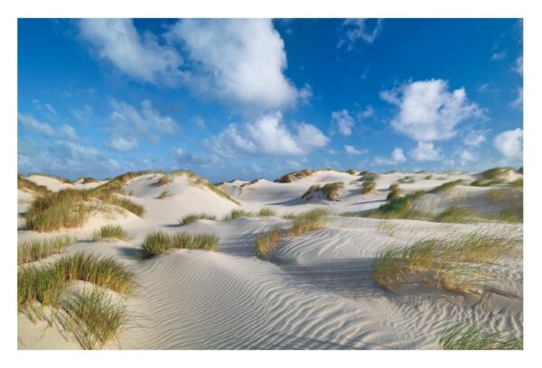 Ein malerischer Blick auf eine Küstendünenlandschaft auf Sylt ...meine Insel unter einem blauen Himmel mit flauschigen weißen Wolken. Man sieht gewellte Sandmuster, durchsetzt mit Flecken von grünem Strandhafer.