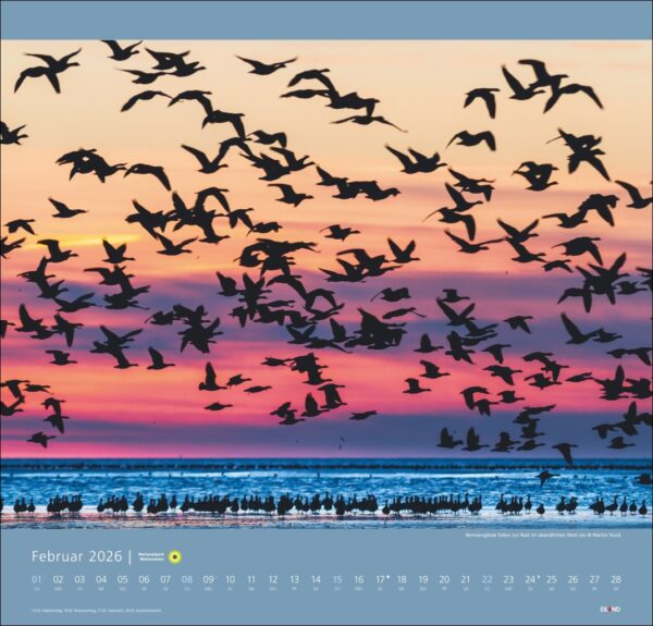 Nationalpark Wattenmeer 2026 – Bild 3