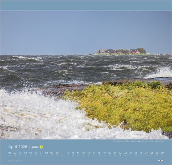 Nationalpark Wattenmeer 2026 – Bild 5