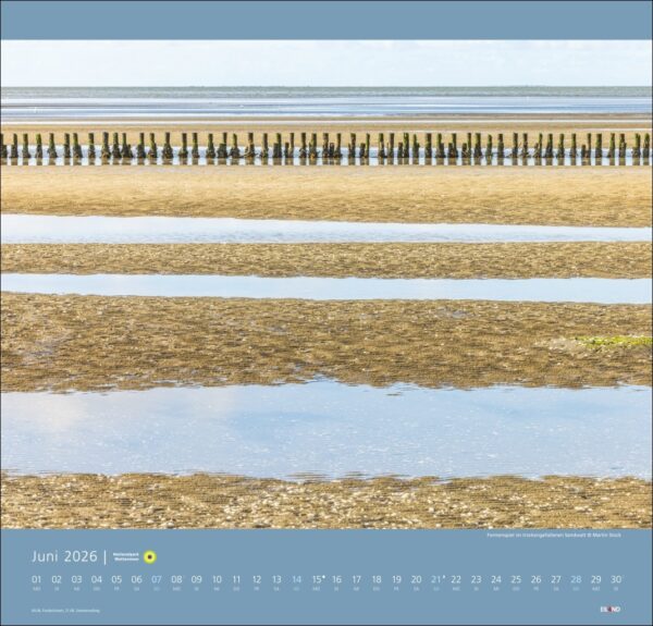 Nationalpark Wattenmeer 2026 – Bild 7