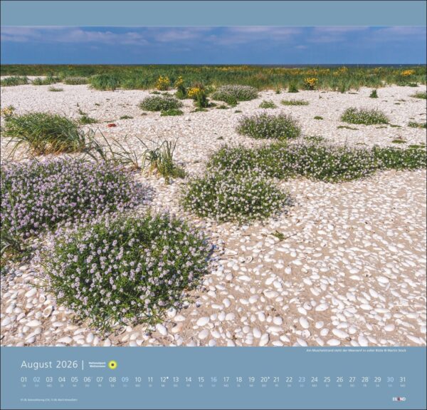 Nationalpark Wattenmeer 2026 – Bild 9