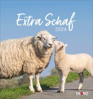 Extra Schaf - PostkartenKalender 2026