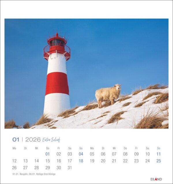 Extra Schaf - PostkartenKalender 2026 – Bild 2