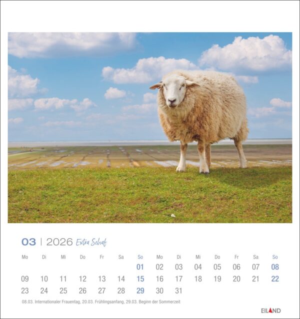 Extra Schaf - PostkartenKalender 2026 – Bild 4