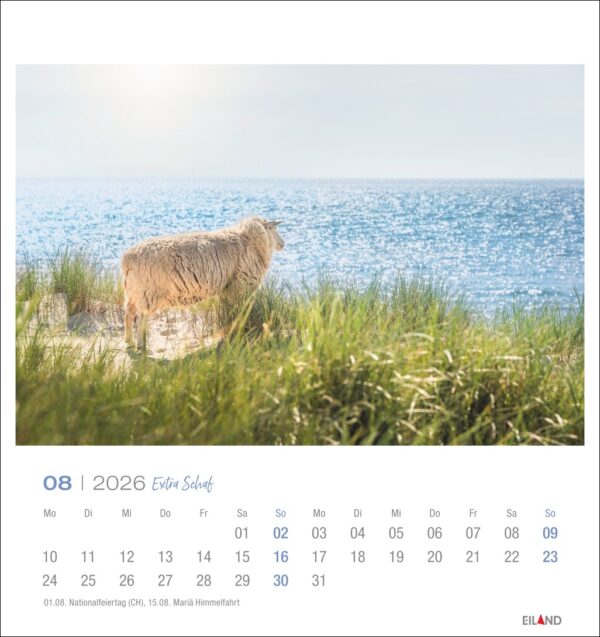 Extra Schaf - PostkartenKalender 2026 – Bild 9