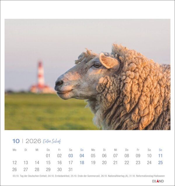 Extra Schaf - PostkartenKalender 2026 – Bild 11