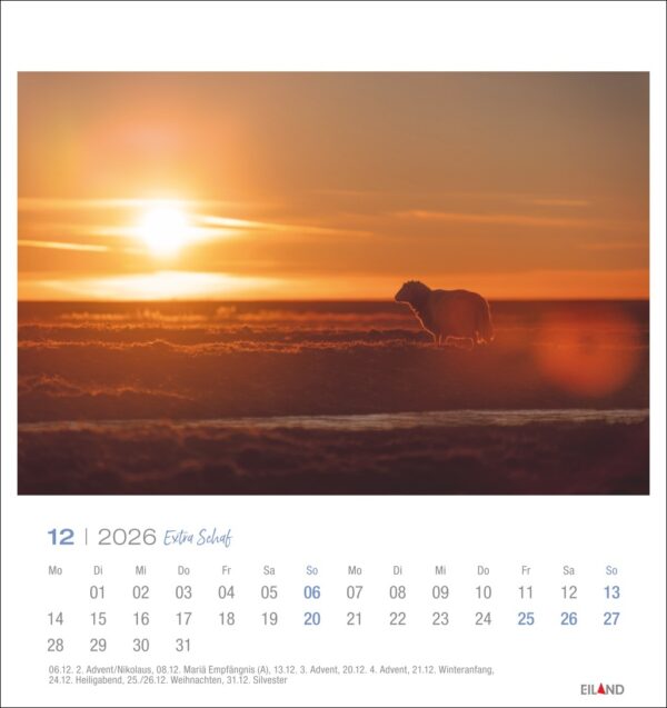 Extra Schaf - PostkartenKalender 2026 – Bild 13