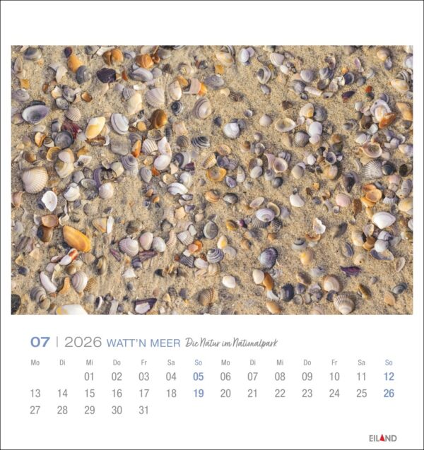 Watt'n Meer - PostkartenKalender 2026 – Bild 8