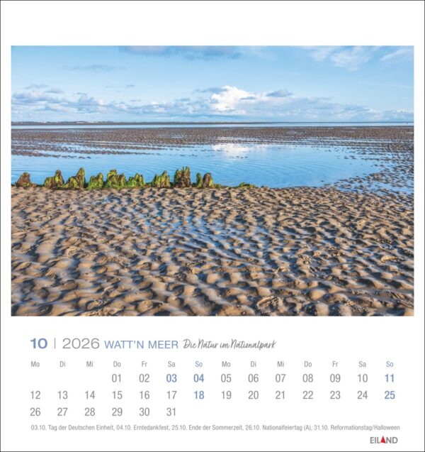 Watt'n Meer - PostkartenKalender 2026 – Bild 11