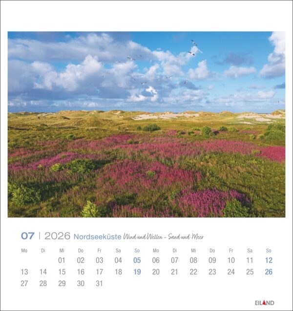 Nordseeküste - Postkartenkalender 2026 – Bild 8