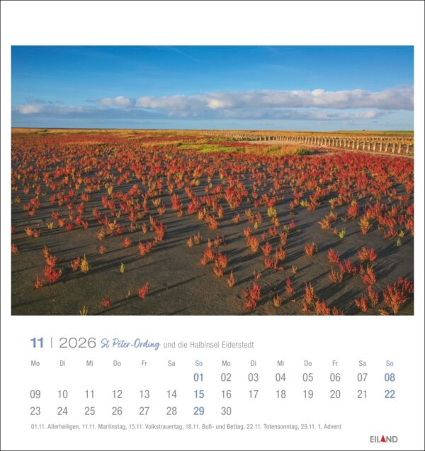 St. Peter-Ording und die Halbinsel Eiderstedt - Postkartenkalender 2026 – Bild 12