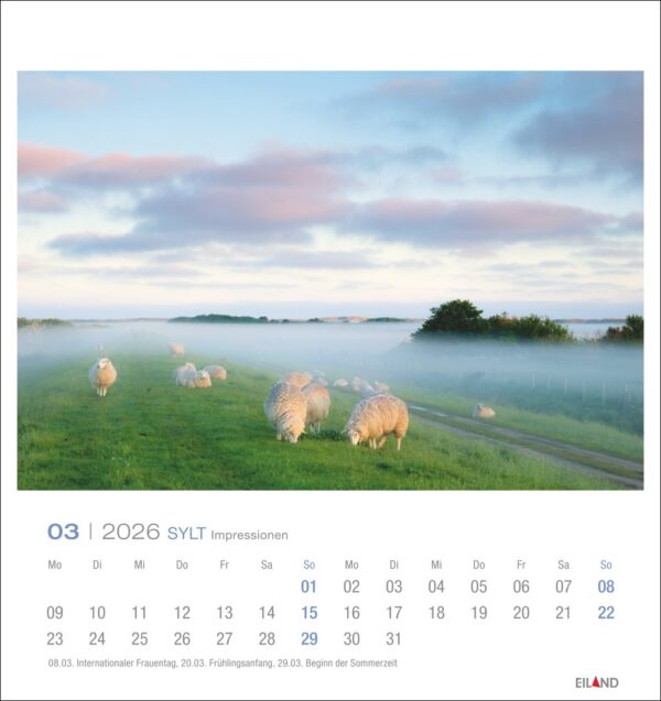 Sylt Impressionen - PostkartenKalender 2026 – Bild 4
