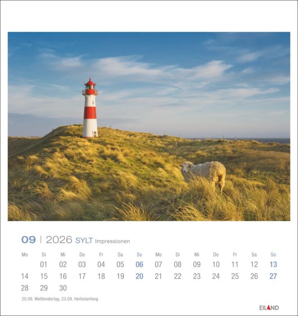 Sylt Impressionen - PostkartenKalender 2026 – Bild 10