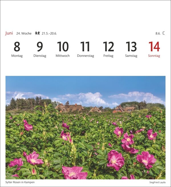 Sehnsuchtskalender Sylt 2026 – Bild 6