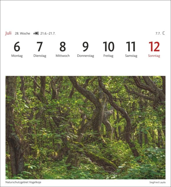Sehnsuchtskalender Sylt 2026 – Bild 10