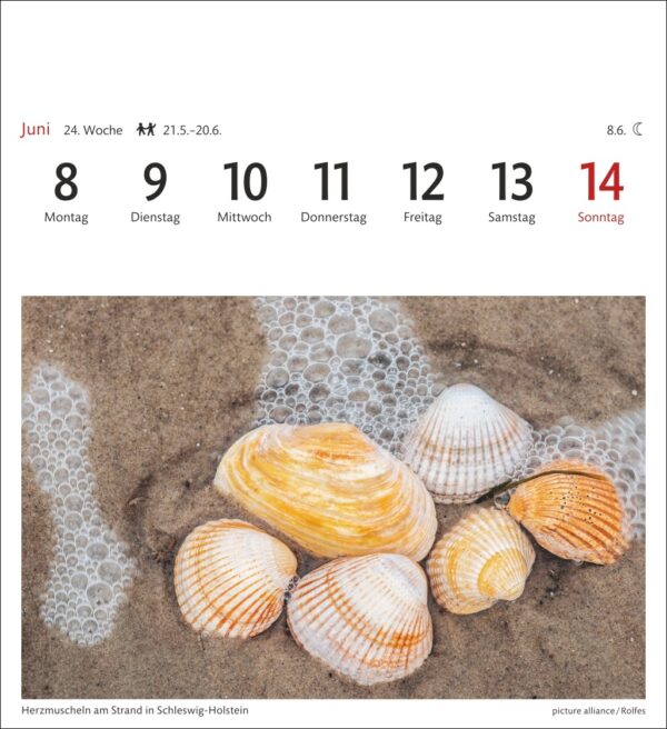 Sehnsuchtskalender Nordseeküste 2026 – Bild 6