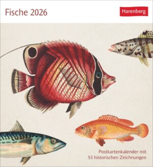 Sehnsuchtskalender Fische 2026