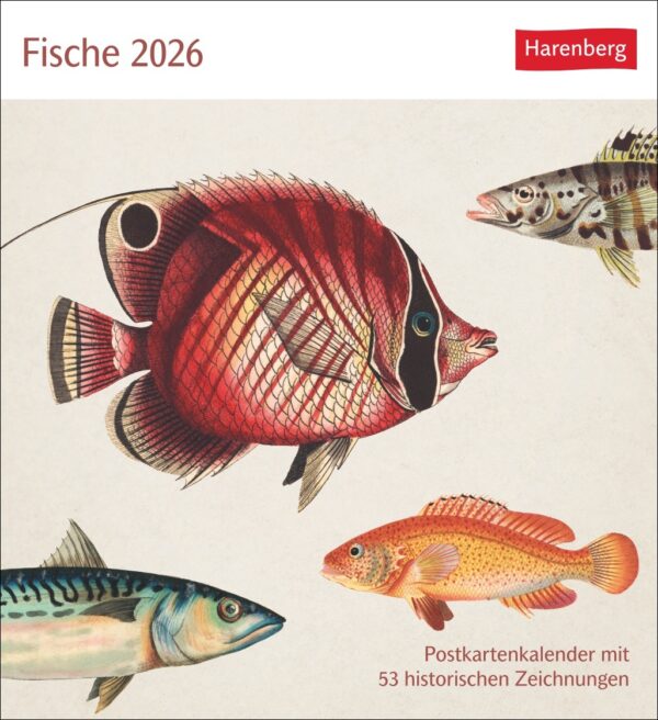 Sehnsuchtskalender Fische 2026