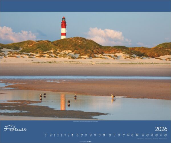 Nordsee 2026 – Bild 3